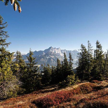 Schattbergblick Saalbach-Hinterglemm Zewnętrze zdjęcie